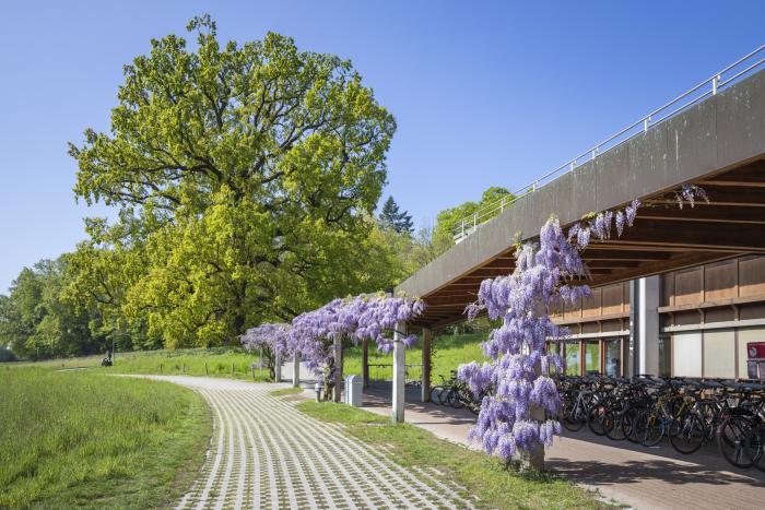 Université de Lausanne